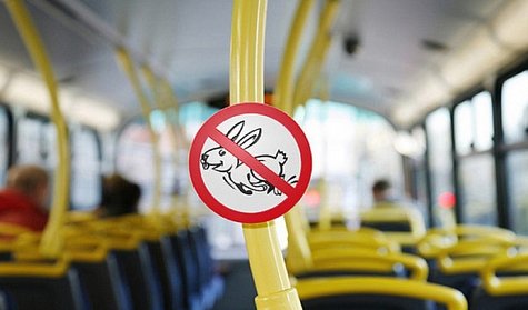 500 рублей – за безбилетный проезд